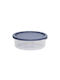 Viomes Microwave Plastic Lunch Box Transparent 17x6cm