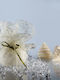 Wedding Favor Lace Pouch 16t161