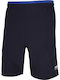 Herrenshorts Blau