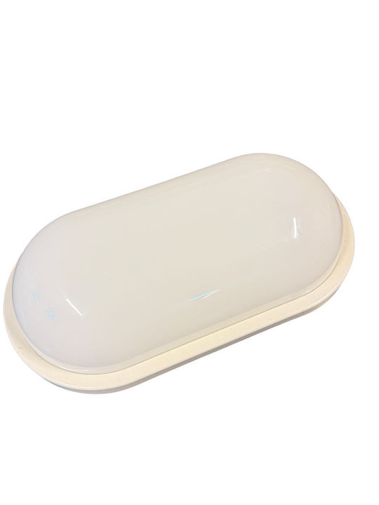 Horoz Electric Lumină de exterior montată pe perete LED IP65 cu Alb Rece Lumină