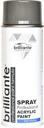 Brilliante Vopsea Spray RAL 7037 400ml Brilliante Vopsea Spray RAL 7037 400ml