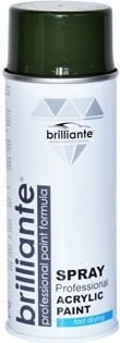 Brilliante Spray Vopsea Temperatură Înaltă Verde RAL 6003 400ml