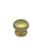 Saguatti Μπουλ Εξώπορτας Polished Gold