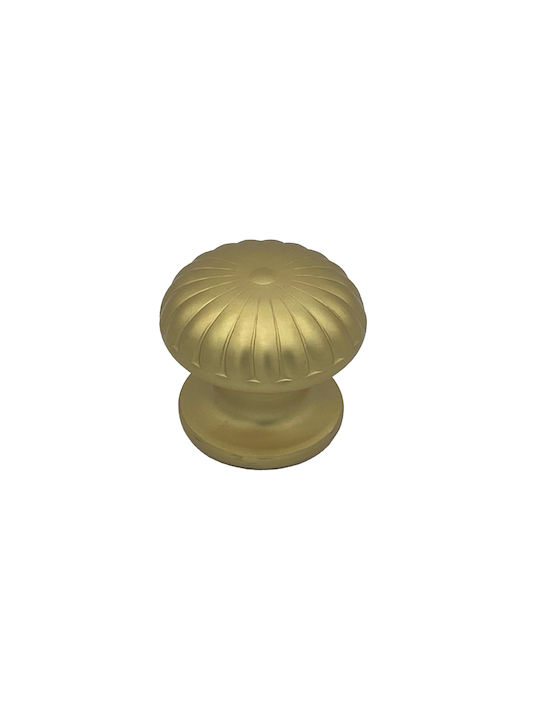 Saguatti Μπουλ Εξώπορτας Satin Gold