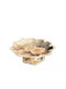 Galifas Porcelain Dessert Tower Stand with 1 Tier Multicolour 9x25cm