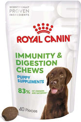 Royal Canin Συμπλήρωμα Διατροφής Σκύλου Royal Canin Συμπλήρωμα Διατροφής Σκύλου