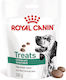 Royal Canin Dog Treat with Poultry 230gr