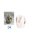 Decorative Ceramic Water Lily Beige 13x19.5cm Galifas 7991500 Galifas