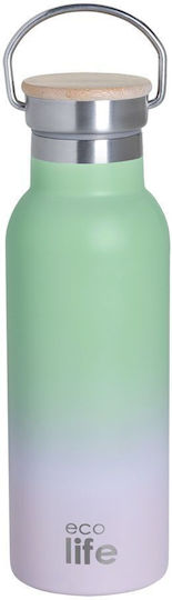 Ecolife Recyclable Bottle Thermos Stainless Steel / Plastic BPA Free 500ml Ice Cream