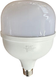 Ed-Son Bec LED 40W