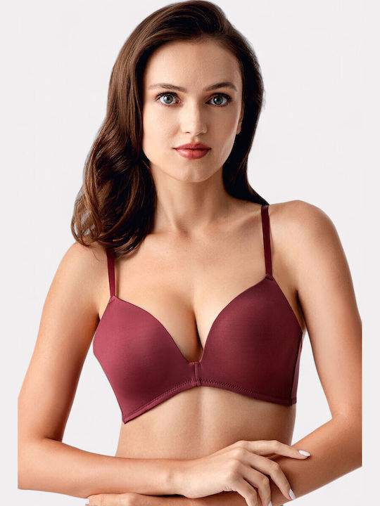 New Bra Lingerie New Bra Lingerie