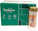 Bolsius Langzeitkerze 4 Tage Engel Deckel Box 12 Stück