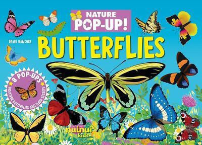 Butterflies Butterflies