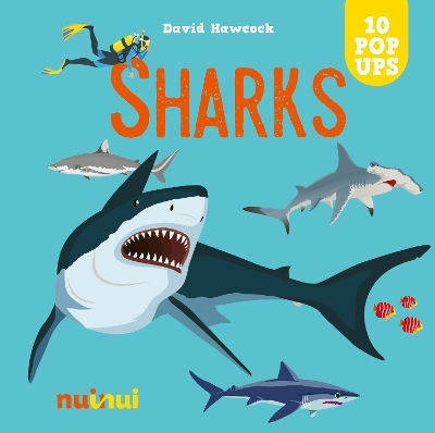 Sharks David Hawcock