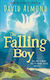 The Falling Boy David Almond S Books 0910