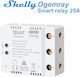 Smart Smart Switch Wi-Fi & Bluetooth 25A