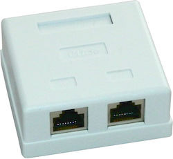 Dual Ftp Socket Category 5e Emtex Emt-ftp5e-2p-pt