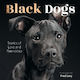 Dogs Stories Of Love And Friendship Fred Levy 0327