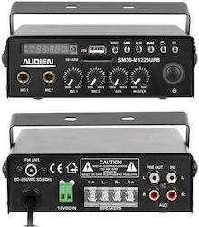 Audien Amplificator de putere Amplificator Hi-Fi Stereo SM30-M1220UFB