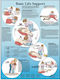 Χάρτης Ανατομίας Basic Life Support