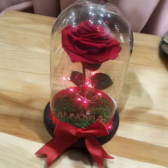 Forever Rose Dome Your Choice of Name