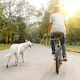 Dog Bicycle Leash Spacer Relaxdays 47 X 21.5 X 5 Cm