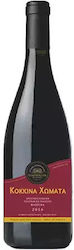 Dimopoulos Estate Erden Rot Trocken 750ml Dimopoulos Estate Erden Rot Trocken 750ml