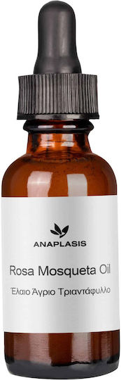 Anaplasis Rosehip Oil 500ml