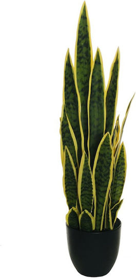 Σανσεβιερα Γλαστρα 65cm 0x0x65cm Μονόχρωμο Evergreens