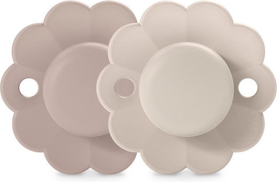Suavinex Pacifiers Silicone PMauve/MChalk for 0-6 months 2pcs