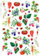 Оризова хартия Kalit за декупаж 32x45см