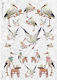 Rice Paper Kalit Decoupage 32x45cm