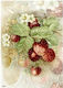 Reispapier Mondo Decoupage 30x40cm