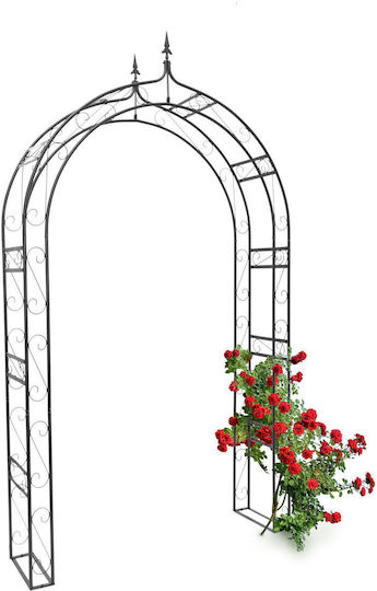 Arcadă Metalică pentru Grădină Flori Cățărătoare Negru 242 X 138 X 35.5 Cm Relaxdays