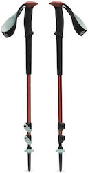 Black Diamond Wanderstock