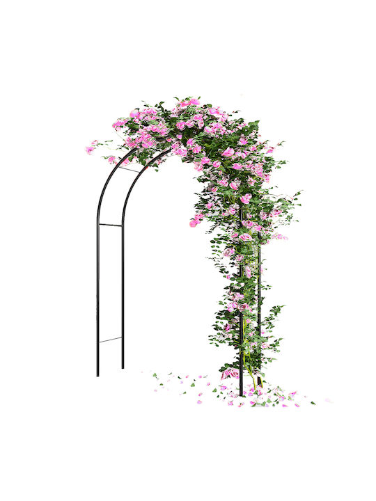 Arcadă de Grădină din Metal Bakaji Suport pentru Trandafiri Cățărători Înălțime 240 cm 02841390