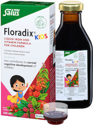 Salus Haus Floradix Kids 250ml