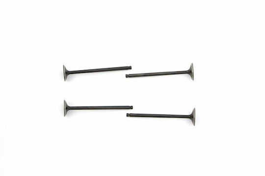 Naraku Intake Exhaust Valve Set Nk600.83 Yamaha Yp R 06-16 Beta Rr Lc Rieju Rs3 11-17 125 Abs Fantic M 18-20