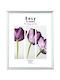 Innova Plastic Photo Frame with Silver Frame
