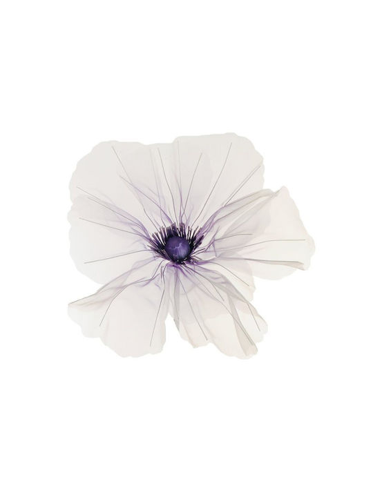 Mohnblume Violette Blütenblätter 60cm 60x60x52cm Unifarbene Immergrüne