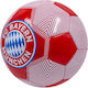 Fc Bayern München Red Soccer Ball