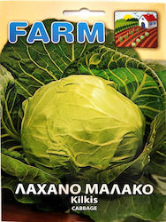 Primasem Samen Kohl Kilkis