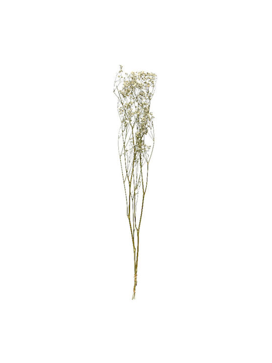 Dried Bouquet 55cm 14x14x55cm White Kaeming