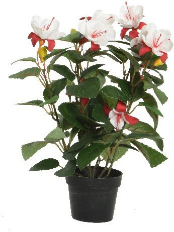 Διακοσμητικό Λουλούδι Fuchsia Γλάστρα 30cm Λευκό Κόκκινο Kaemingk 800124-3 00040595