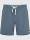 Men's Swimwear Shorts Gray