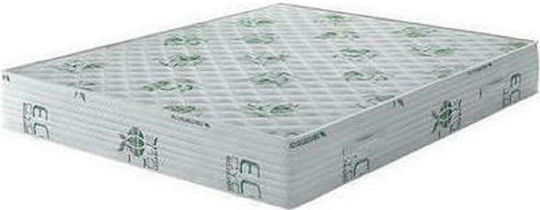 Chic Strom Extra Care Halb Doppelt Ergonomisches Matratze 130x200x23cm mit Taschenfedern