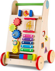 Baby Push Walker Baby Push Walker