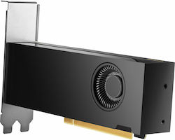 HP RTX 2000 Ada 16GB HP RTX 2000 Ada 16GB