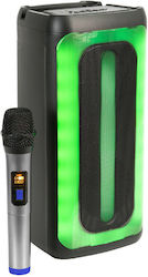Ibiza Sound Lautsprecher Karaoke mit Kabellosem Mikrofon