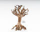 Aquadeco Mammoth Bonsai S 15x20